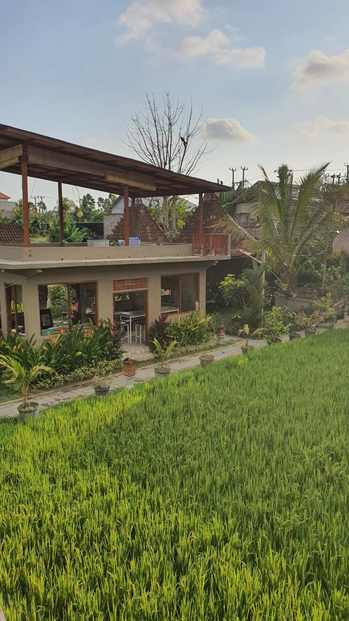Ubud Rice Field House Экстерьер фото